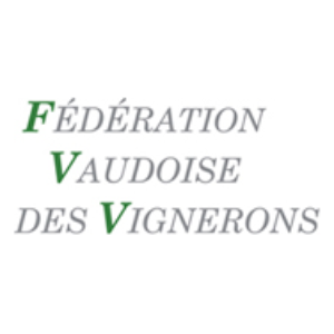 fvv.png