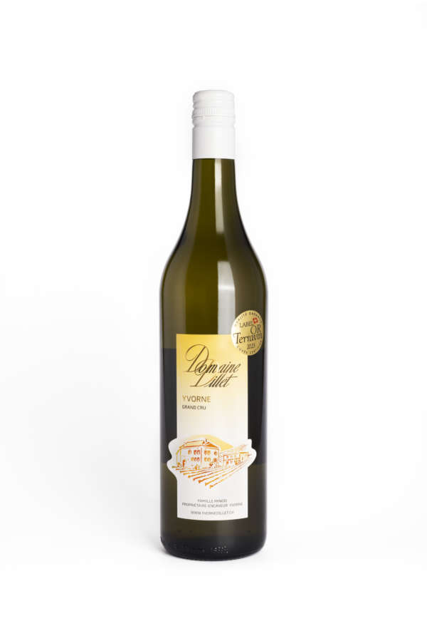Chasselas